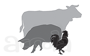 Мясо оптом от производителя (говядина, свинина, птица)